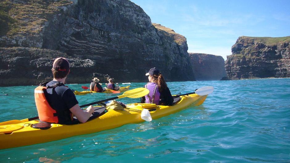 Discover the hidden gems and amazing sealife of Pohatu Marine Reserve by Sea Kayak!